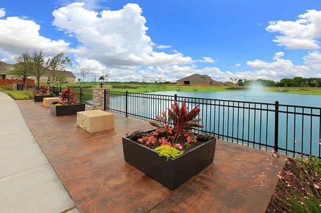 732 Vineyard Way, House other with 4 bedrooms, 4 bathrooms and null parking in Forney TX | Image 6