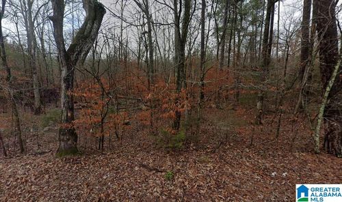 0-0 Low Gap Rd, New Hope, AL, 35760 | Card Image