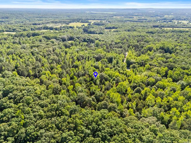 256 Rambo Loop, Home with 0 bedrooms, 0 bathrooms and null parking in Searcy AR | Image 6