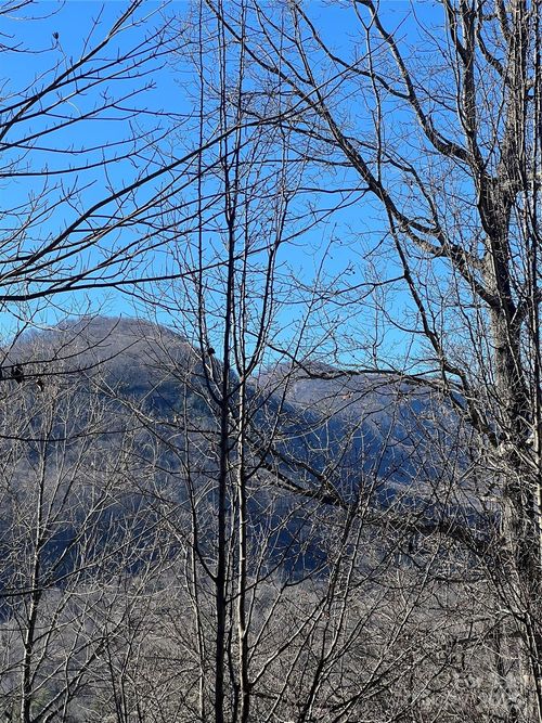 Lot 42 Hawks Nest Trl, Lake Lure, NC, 28746 | Card Image