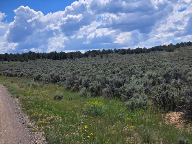Unit 10 Tract 243 El Vado Lake Subd., Home with 0 bedrooms, 0 bathrooms and null parking in Tierra Amarilla NM | Image 4