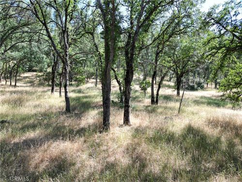 16625 Rancho Tehama Rd, Corning, CA, 96021 | Card Image