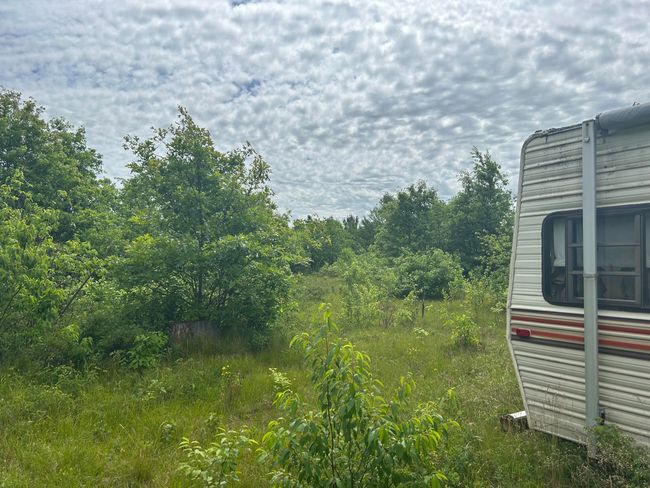 2203 E 38 Th St, Home with 0 bedrooms, 0 bathrooms and null parking in Idlewild MI | Image 7