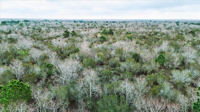 0000 Gulfway Dr, Home with 0 bedrooms, 0 bathrooms and null parking in Stowell TX | Image 21