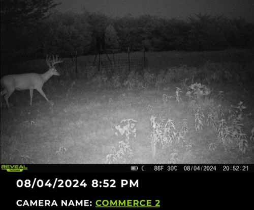 113 Fm 3218, Commerce, TX, 75428 | Card Image