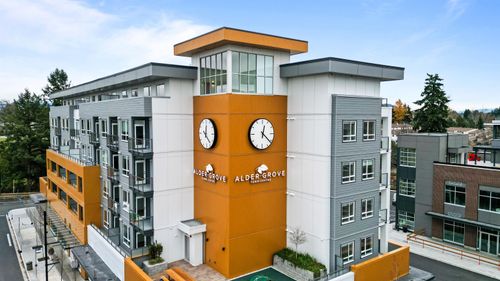 {{alt}} | Card Image