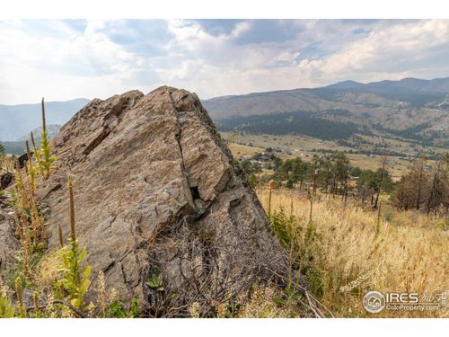 981 Palisade Mountain Dr, Drake, CO, 80515 | Card Image