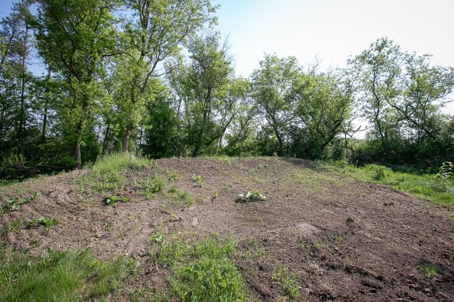 New mound system | Image 5