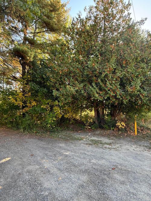 802 Stillwater Avenue, Old Town, ME, 04468 | Card Image