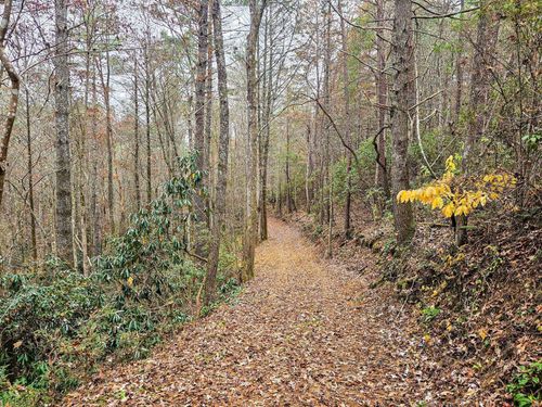 138 Bowater Road, Tellico Plains, TN, 37385 | Card Image