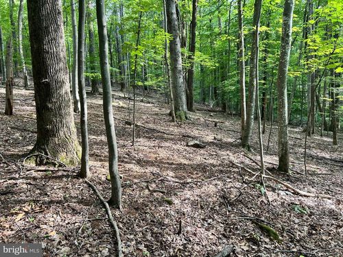 0 Dogwood Ln, NELLYSFORD, VA, 22958 | Card Image