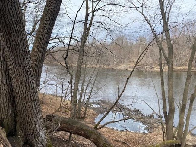 thumbnail_IMG_8417.jpg | Image 19