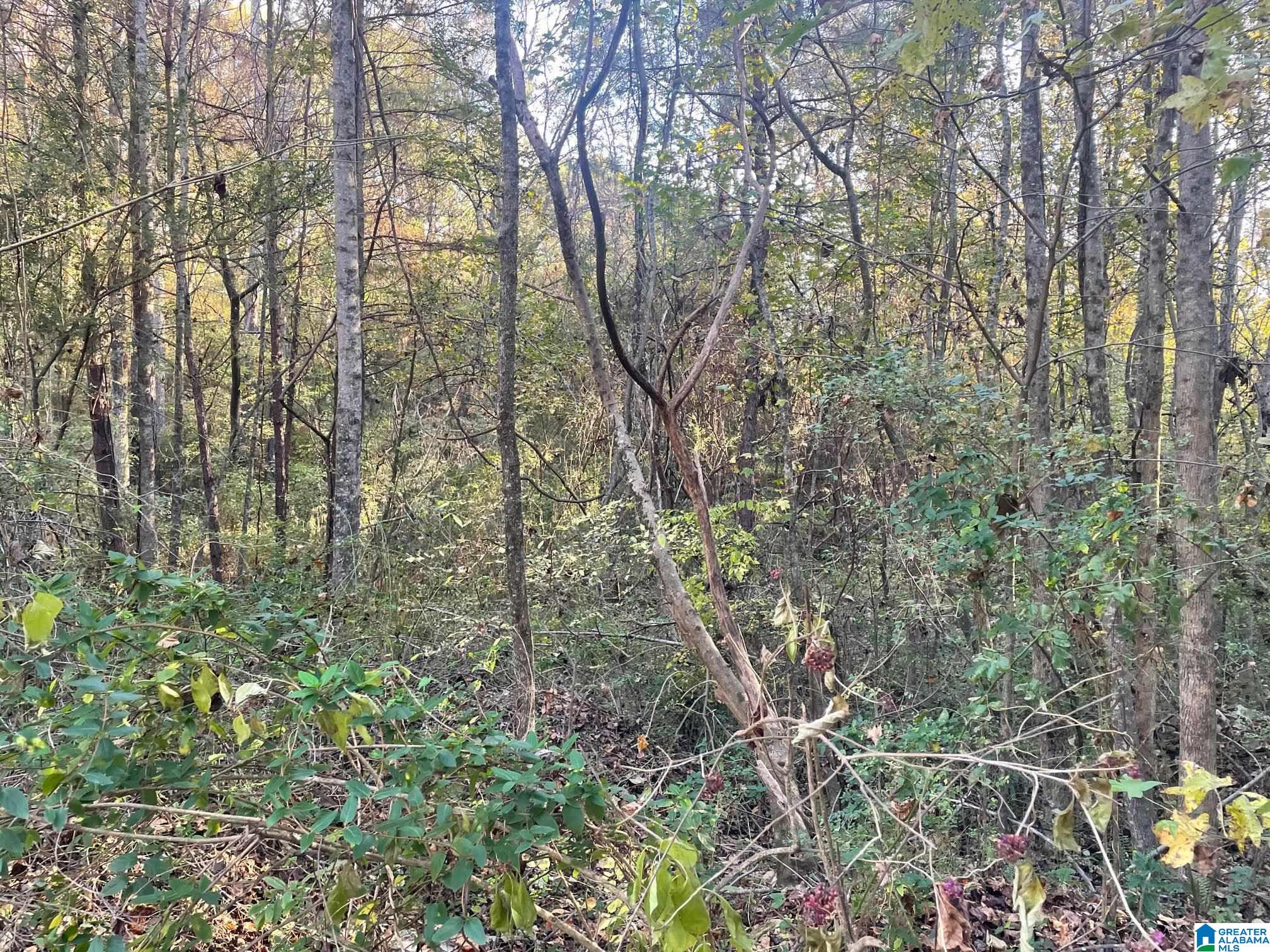Land in GARDENDALE 3