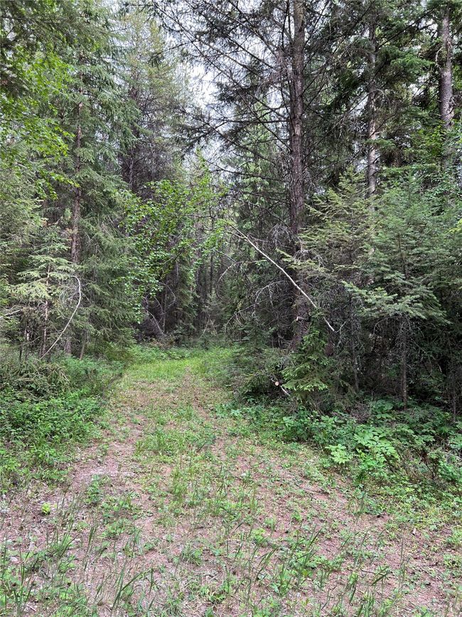 South 20 acres with access road | Image 118
