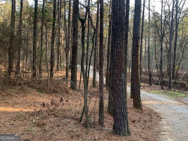 941 Wesley Chapel Rd, House other with 3 bedrooms, 2 bathrooms and null parking in Lexington GA | Image 5