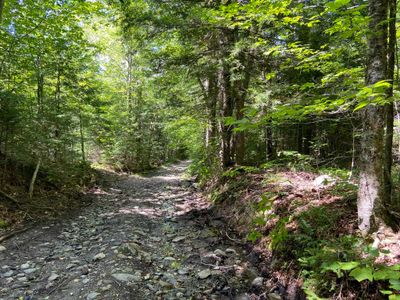 4 - 0 Fall Brook Road, Home with 0 bedrooms, 0 bathrooms and null parking in Wheelock VT | Image 2