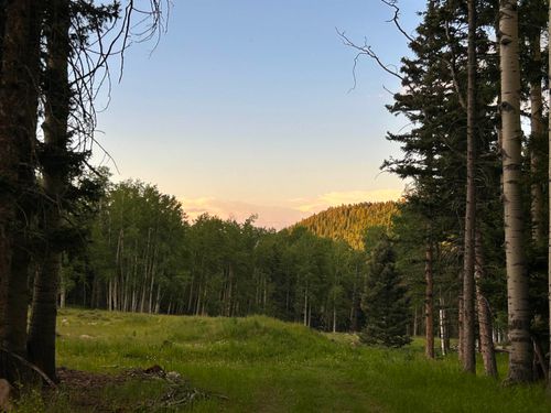 lot-65-168 Mertz Pl, Angel Fire, NM, 87710-8076 | Card Image