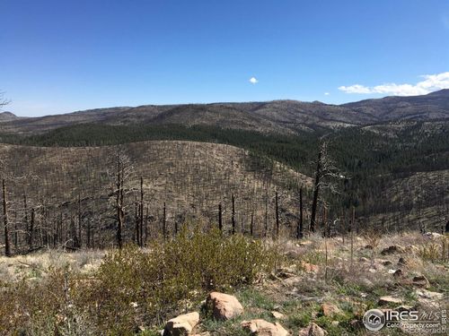 3600 Moondance Way, Bellvue, CO, 80512 | Card Image