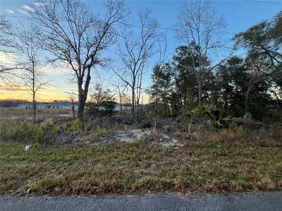 238 Locust Pass Circle, Home with 0 bedrooms, 0 bathrooms and null parking in Ocala FL | Image 1