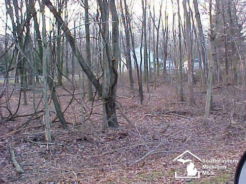 Lot 18/19 Onway Dr, Ottawa Lake, MI, 49267 | Card Image