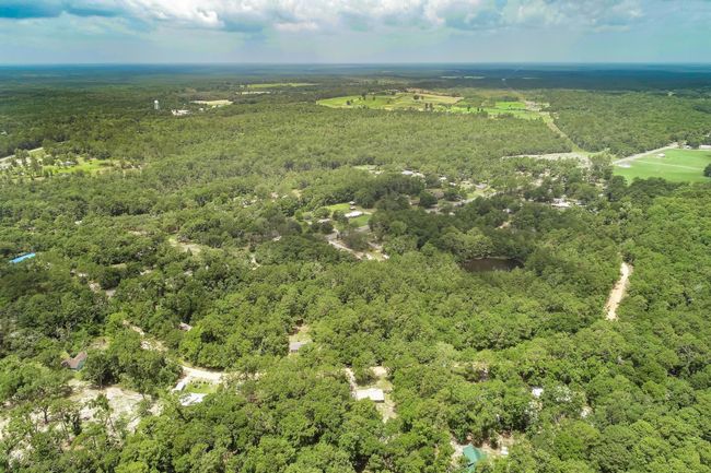 Lot 15 Blue Creek Rd, Home with 0 bedrooms, 0 bathrooms and null parking in Ponce De Leon FL | Image 5