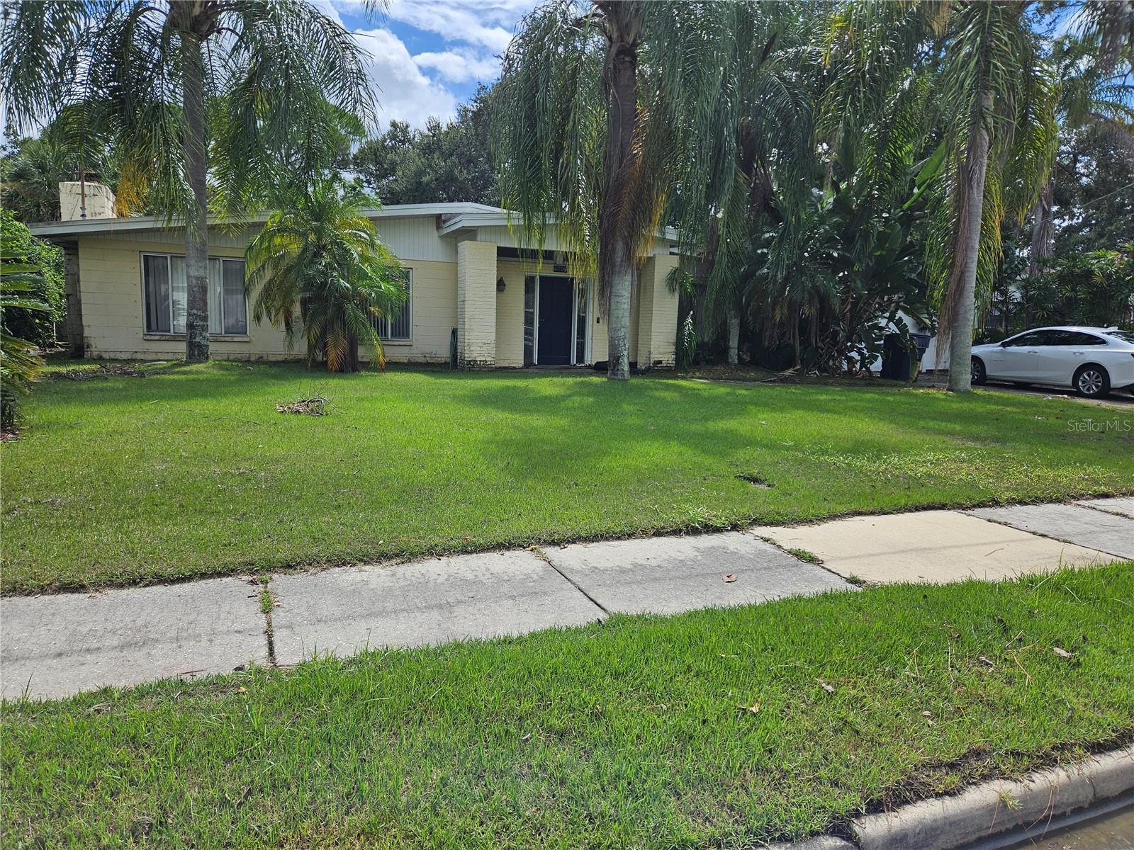 Leona St, Tampa, FL 33629
