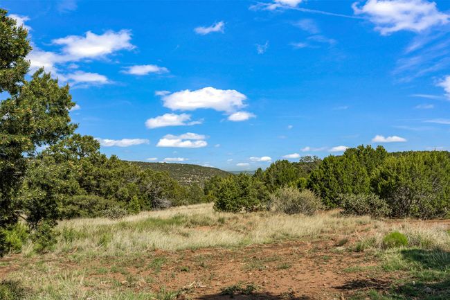 View to Pecos Wilderness from front yard | Image 45