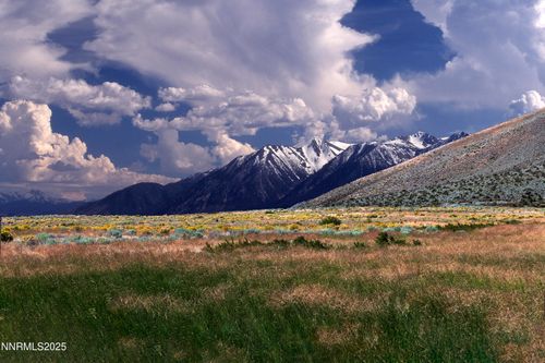 315 James Canyon Loop, Genoa, NV, 89411-1573 | Card Image