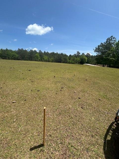 Land in Mcdonough 4