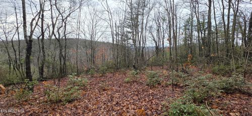 778 Eastridge Pass, Monterey, TN, 38574-5623 | Card Image