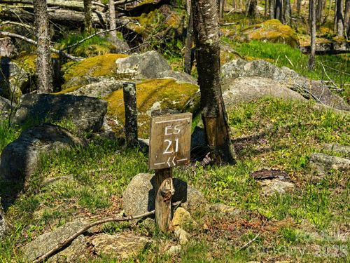 ES-21 Eagle Springs Trl, Banner Elk, NC, 28604 | Card Image