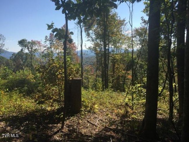 00 Heaton St, Home with 0 bedrooms, 0 bathrooms and null parking in Roan Mountain TN | Image 9