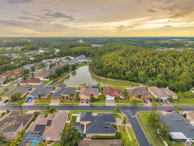 31646 Baymont Loop, House other with 5 bedrooms, 4 bathrooms and null parking in WESLEY CHAPEL FL | Image 87