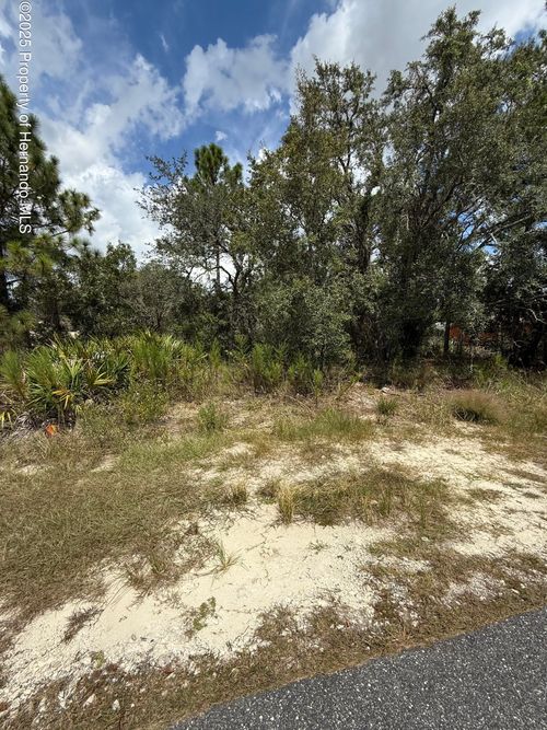 13063 Convent Garden Rd, Brooksville, FL, 34613-3894 | Card Image