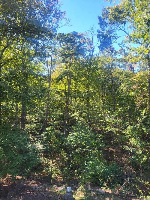000 Coleman Ave, Little Rock, AR, 72211 | Card Image