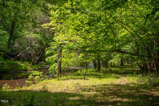 Little River 01 | Image 46