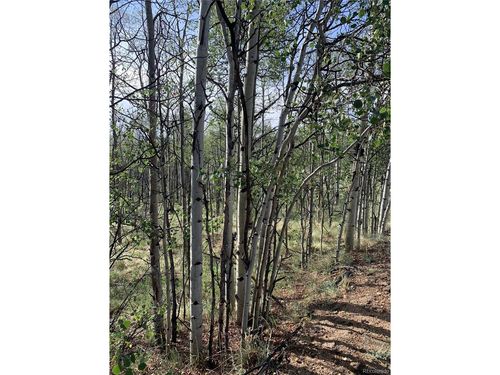 540 Vulture Ln, Como, CO, 80456 | Card Image