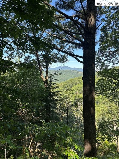 43 Quail Hollow Dr, Blowing Rock, NC, 28605 | Card Image