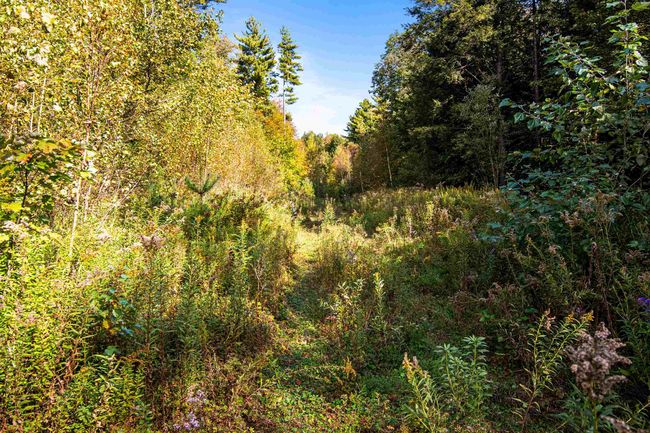 00 Raymo Dr, Home with 0 bedrooms, 0 bathrooms and null parking in Highgate Center VT | Image 20