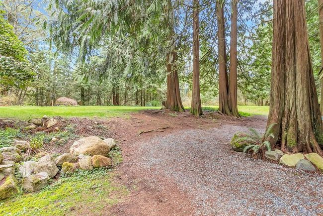 View of yard featuring a forest view | Image 22