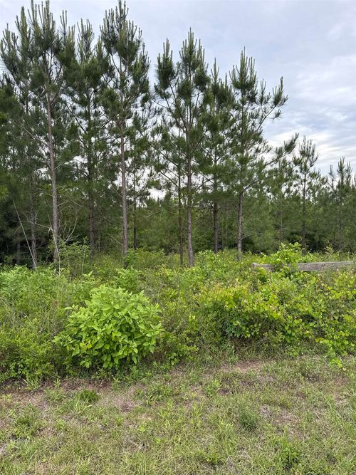 0000 Nw Church Rd, Altha, FL, 32421 | Card Image