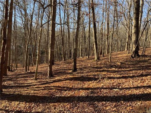 0 Oak Ridge Ct, Jasper, GA, 30143 | Card Image