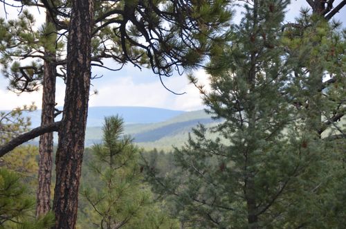 TBD Rincon Rd, Guadalupita, NM, 87722 | Card Image