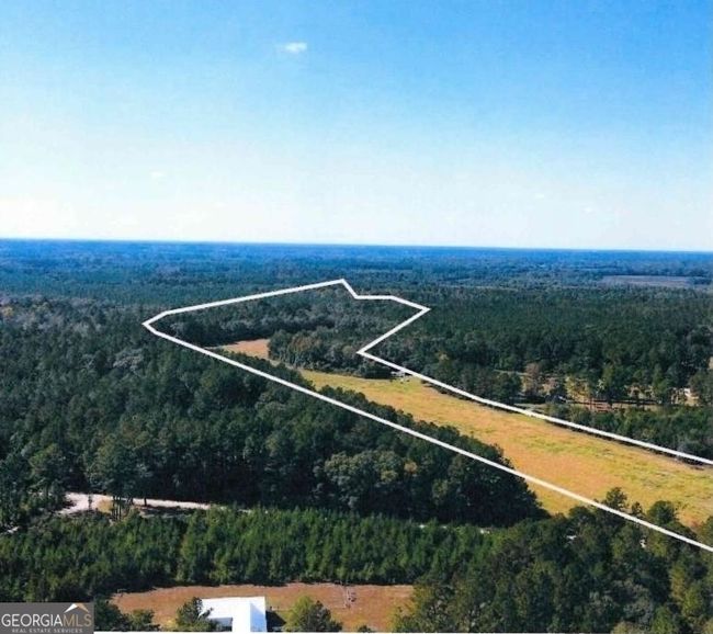 19816-ACRES - 0 Old Happy Rd, Home with 0 bedrooms, 0 bathrooms and null parking in Brooklet GA | Image 10