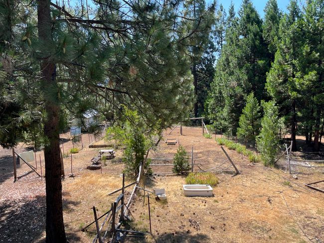 garden looking down from upstairs shop | Image 33