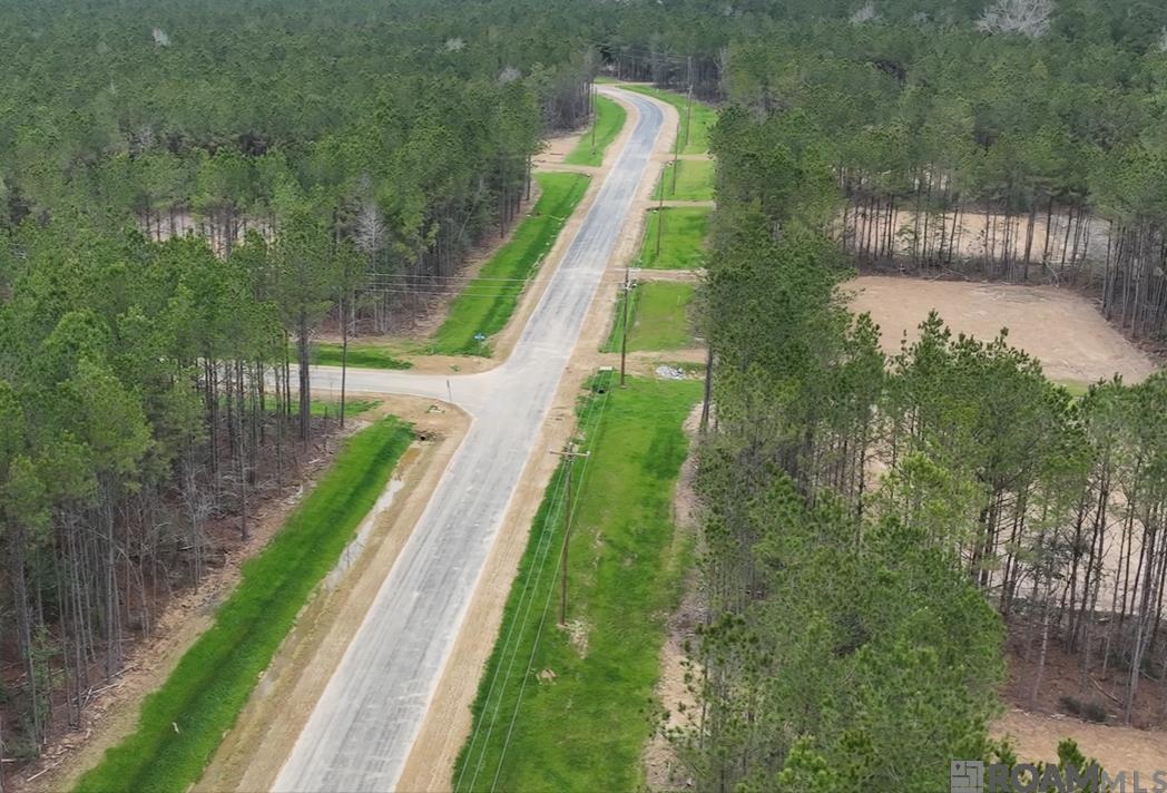 Land in Livingston 5