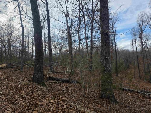 L18 B3 S Summit Ridge Drive, Ozark Acres, AR, 72482 | Card Image