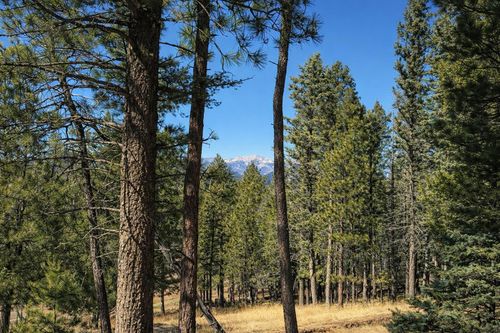 1528 Colfax Ter, Angel Fire, NM, 87710 | Card Image