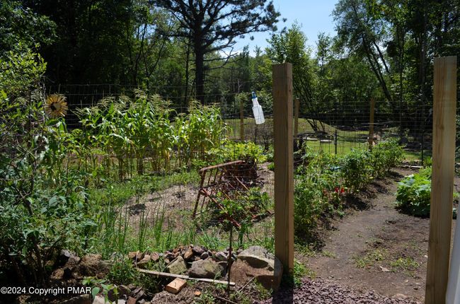 Garden | Image 6