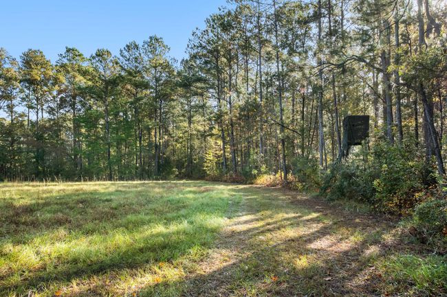 HFL_OSBORNE TRACT-5 | Image 12